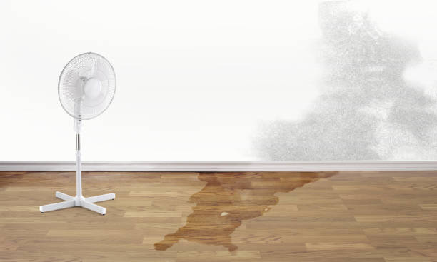 Best Water damage cleanup near me  in Lubbock, TX