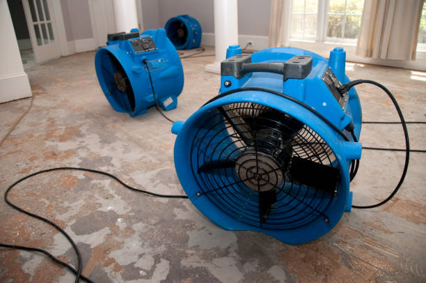 Trusted Lubbock, TX Water damage restoration Experts