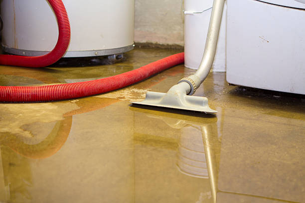 Best Sewage cleanup and water damage restoration  in Lubbock, TX