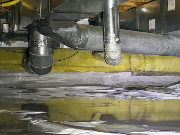 Best Professional water damage repair  in Lubbock, TX