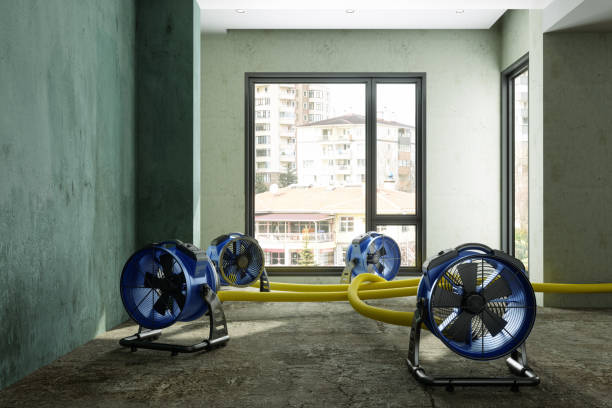 Best Water damage restoration company  in Lubbock, TX